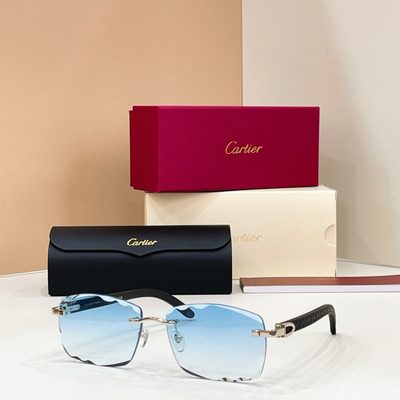 Cartier sunglasses — 8