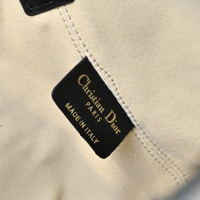 Dior Bag — 9