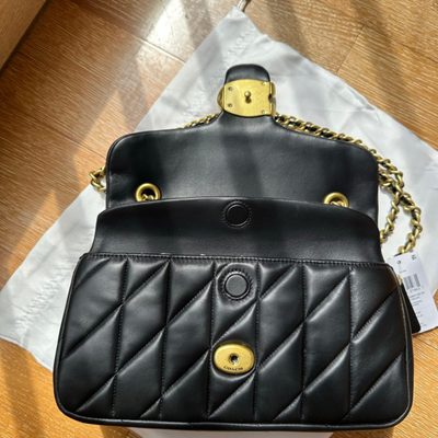 Coach Bag — 10