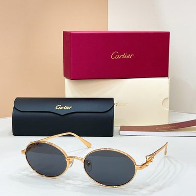 Cartier Sunglasses — 8