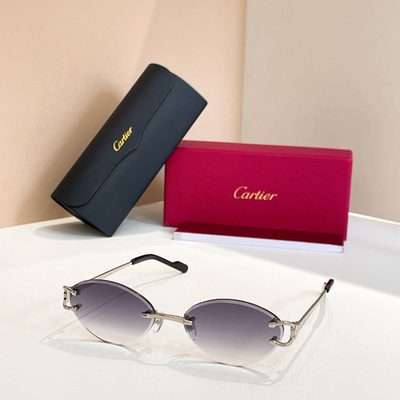Cartier Sunglasses — 8