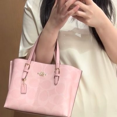 Coach Bag — 4