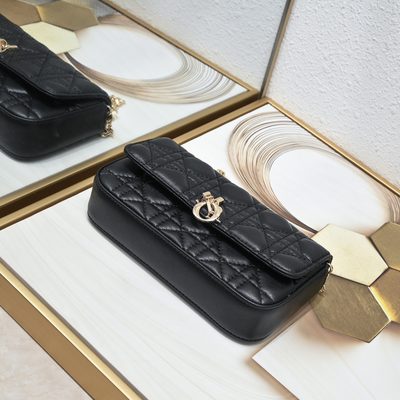 Dior Bag — 7