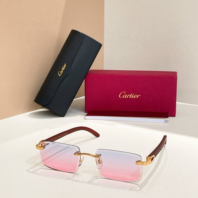 Cartier Sunglasses — 7