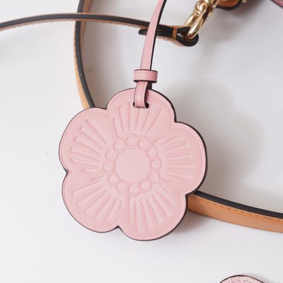 Coach Bag — 5