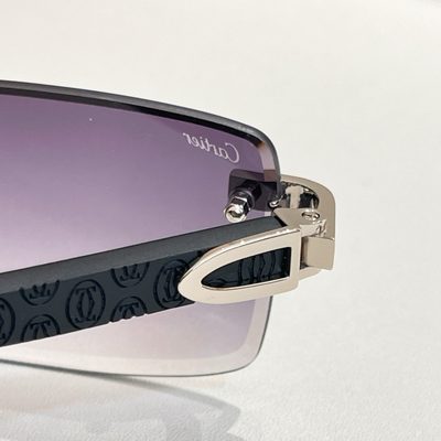 Cartier Sunglasses — 3
