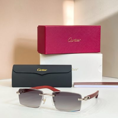 Cartier Sunglasses — 5