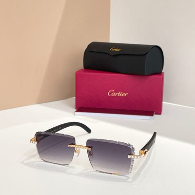 Cartier Sunglasses — 4