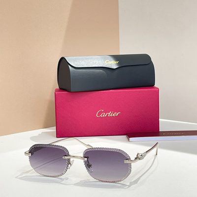 Cartier Sunglasses — 8
