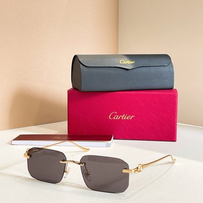 Cartier Sunglasses — 6