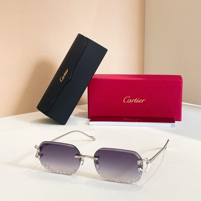 Cartier Sunglasses — 5