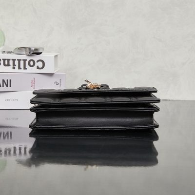 Dior Bag — 4