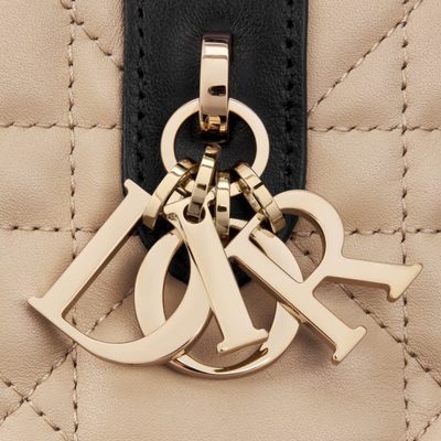 Dior Bag — 6