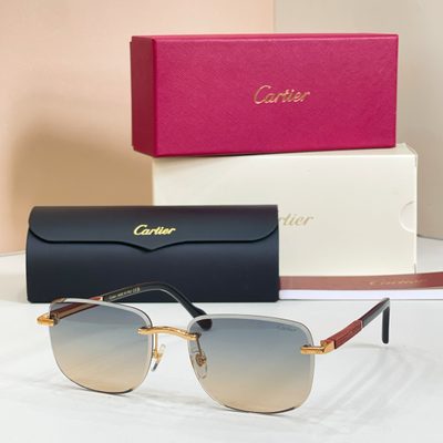 Cartier sunglasses — 5
