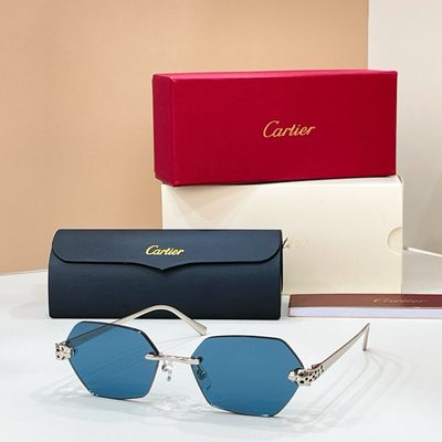 Cartier Sunglasses — 3