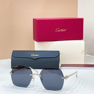 Cartier Sunglasses — 6