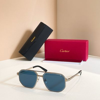 Cartier Sunglasses — 4