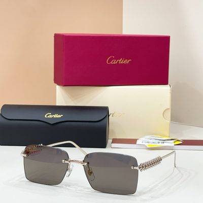 Cartier Sunglasses — 3