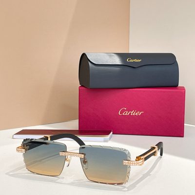 Cartier Sunglasses — 5