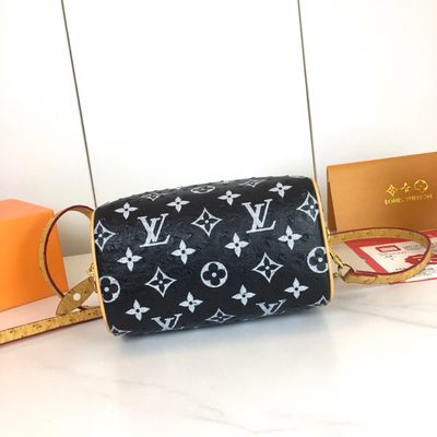 Louis Vuitton Bag — 6