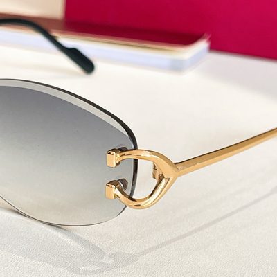 Cartier Sunglasses — 7