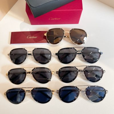 Cartier Sunglasses — 9