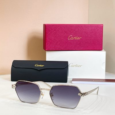 Cartier Sunglasses — 8