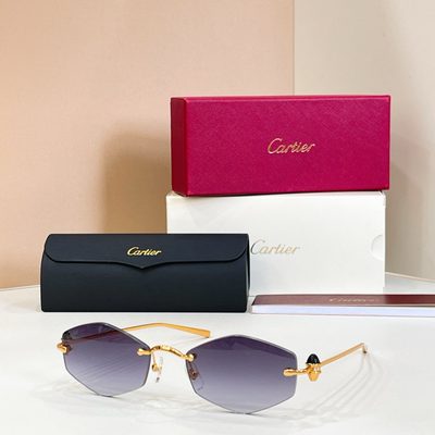 Cartier Sunglasses — 6