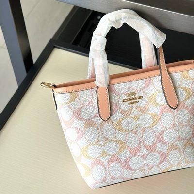 Coach Bag — 6