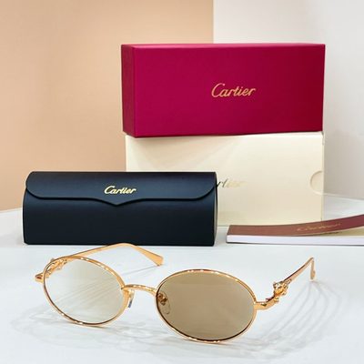 Cartier Sunglasses — 7