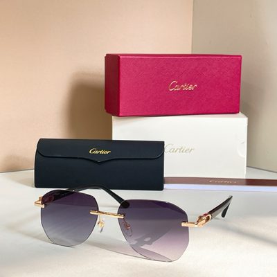 Cartier Sunglasses — 5