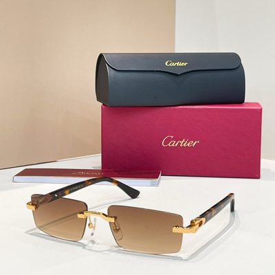 Cartier Sunglasses — 8