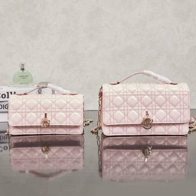 Dior Bag — 3