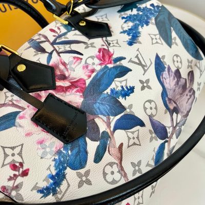 Louis Vuitton Bag — 7