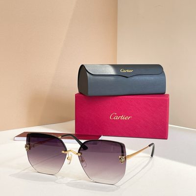 Cartier Sunglasses — 5