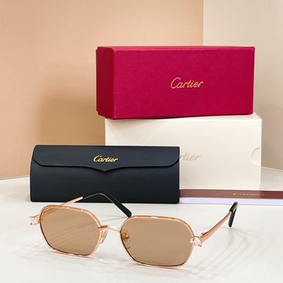 Cartier Sunglasses — 5