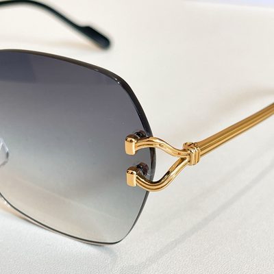 Cartier Sunglasses — 6