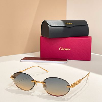 Cartier Sunglasses — 8