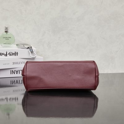 Dior Bag — 4