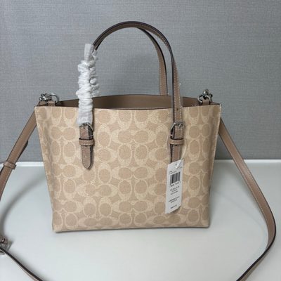 Coach Bag — 3