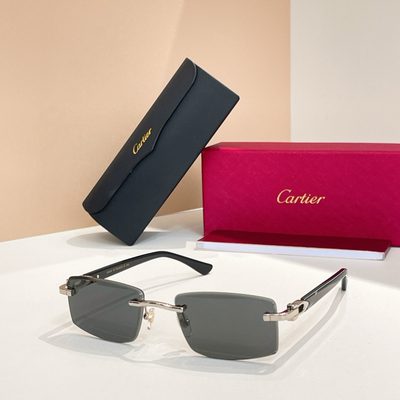 Cartier Sunglasses — 6