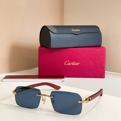 Cartier Sunglasses — 6