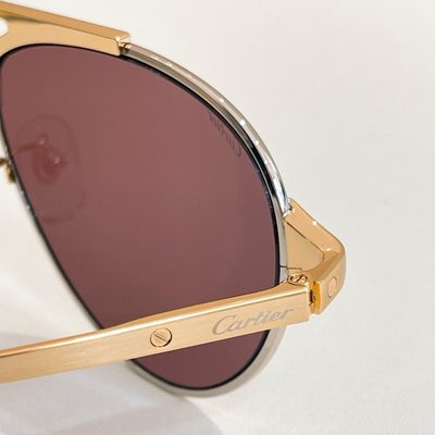 Cartier Sunglasses — 9