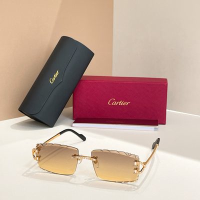 Cartier Sunglasses — 8