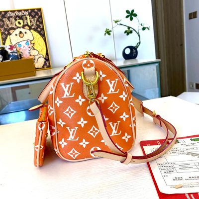 Louis Vuitton Bag — 6