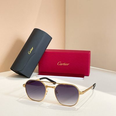 Cartier Sunglasses — 5