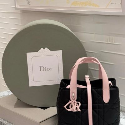 Dior Bag — 9