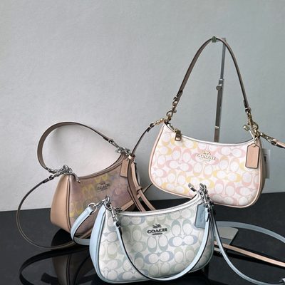 Coach Bag — 3