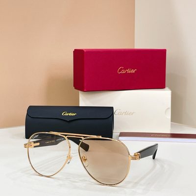 Cartier Sunglasses — 7
