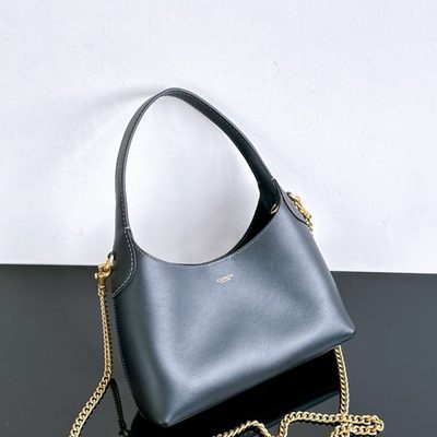 Coach Bag — 4